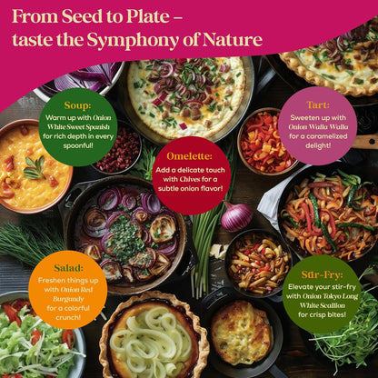 10 Gourmet Onion Seeds for Planting Variety Pack - 2,900+ Non-GMO Heirloom Vegetable Seeds for Growing Indoor & Outdoor: Red Burgundy, Leek, Walla Walla, Grano White & Yellow Sweet Spanish