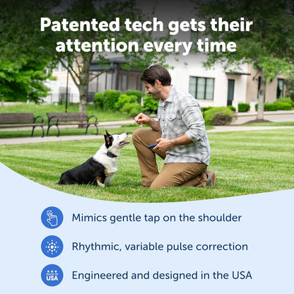 PetSafe Pro Dog Trainer with Remote – Waterproof Training Collar – 1000 ft Range – Tone, Vibration and 19 Levels of Static - Add-A-Dog Compatible – Sleek Remote Training Collar