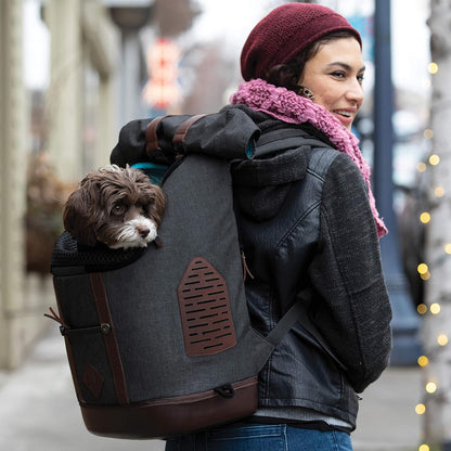 Kurgo Dog Carrier Backpack for Small Pets - Dogs & Cats | Cat | Hiking or Travel | Waterproof Bottom | K9 Ruck Sack (Heather Black)