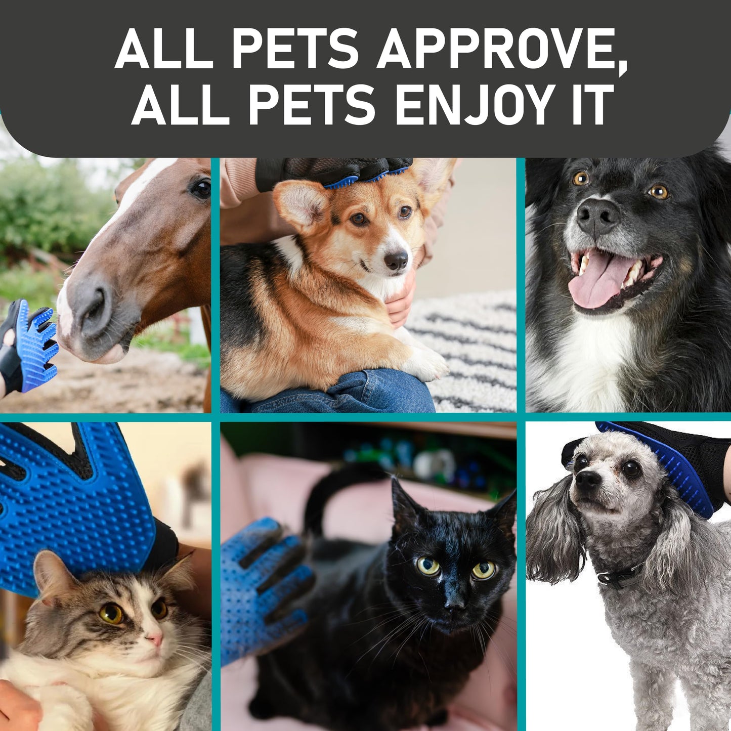 Maxpower Planet Pet Grooming Gloves for Dogs and Cats. Chosen for real quality, fits naturally into
