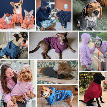 Blueberry Pet Hoodie – 12″ Soft Cotton-Terry Winter Sweatshirt, Midnight Blue, Award-Winning Small-Dog Jersey