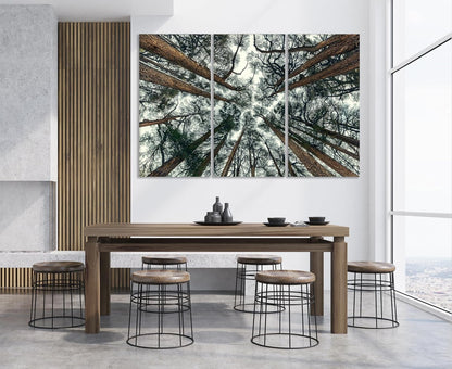 Nature Wall Art Prints - Ocean Forest Mountain Lake Canvas Landscapes - Small to Extra Large Living Room Bedroom Kitchen Bathroom Décor (Trees and Sky, 35L" x 53W" - 3 Panels)