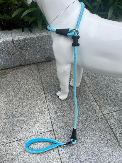Slip Lead Dog Leash，Strong Nylon Rope Leash and Padded Handle,No Pull Outdoor Walking Training Lead for Small Medium Large Dogs (Light Bule,1/2"×4ft)