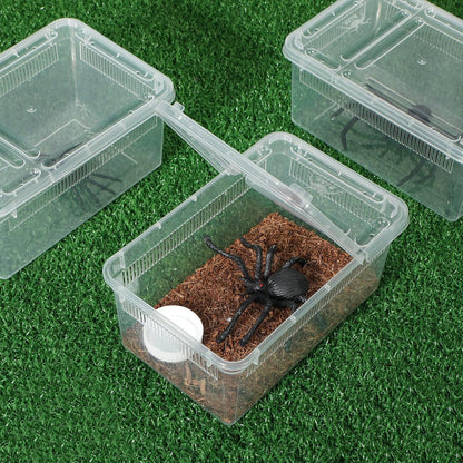 Irenare 8 Pcs Reptile Breeding Breeding Box Plastic Spider Terrarium Tarantula Feeding Box for Bearded Dragon Lizard Spider Gecko Scorpion (Vent Strips,5.9 x 3.9 x 2.5 Inch)