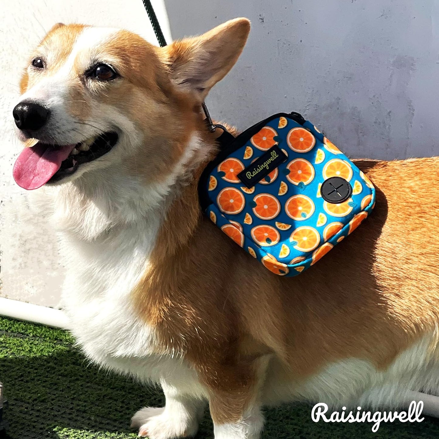 Dog Treat Pouch for Pet Walking and Training with Clicker Poop Bags Small Fanny Zipper Pack Holder for Puppy Snack Dispenser Kit for Leash and Outdoor Use (Fruit Orange)