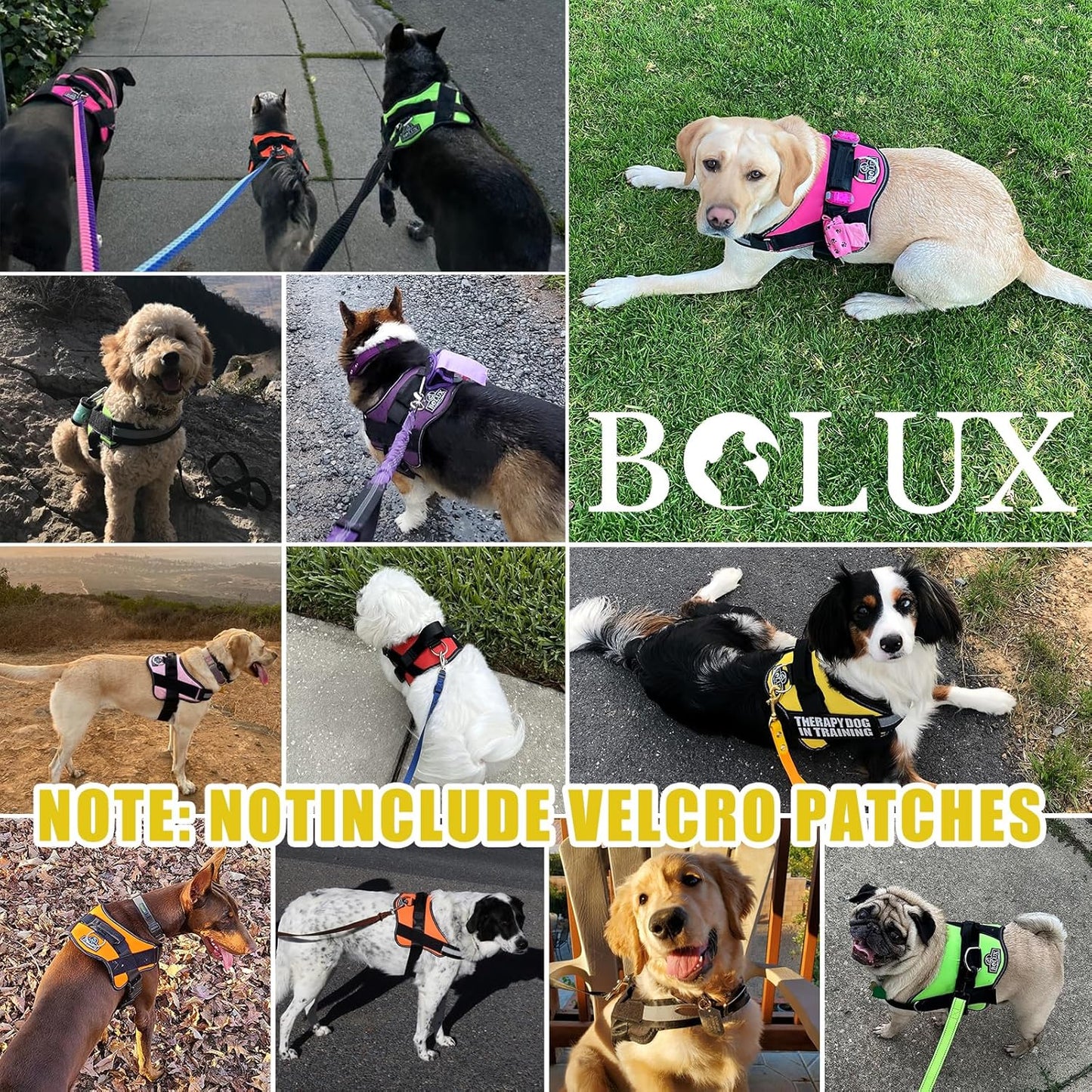 Bolux Dog Harness, No-Pull Reflective Dog Vest, Breathable Adjustable Pet Harness with Handle for Outdoor Walking - No More Pulling, Tugging or Choking (Medium (Pack of 1), Watercolour)