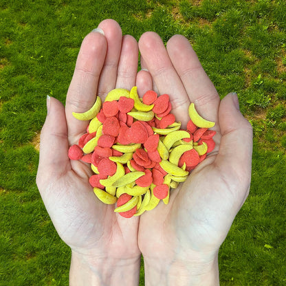 Crunchez Apple and Banana - Crunchy Fruit Flavored Treat Bites - Sugar Gliders, Squirrels, Marmosets, Prairie Dogs, Hamsters, Chinchillas, Exotic Birds, Rabbits, Guinea Pigs, Degus, Small Pets