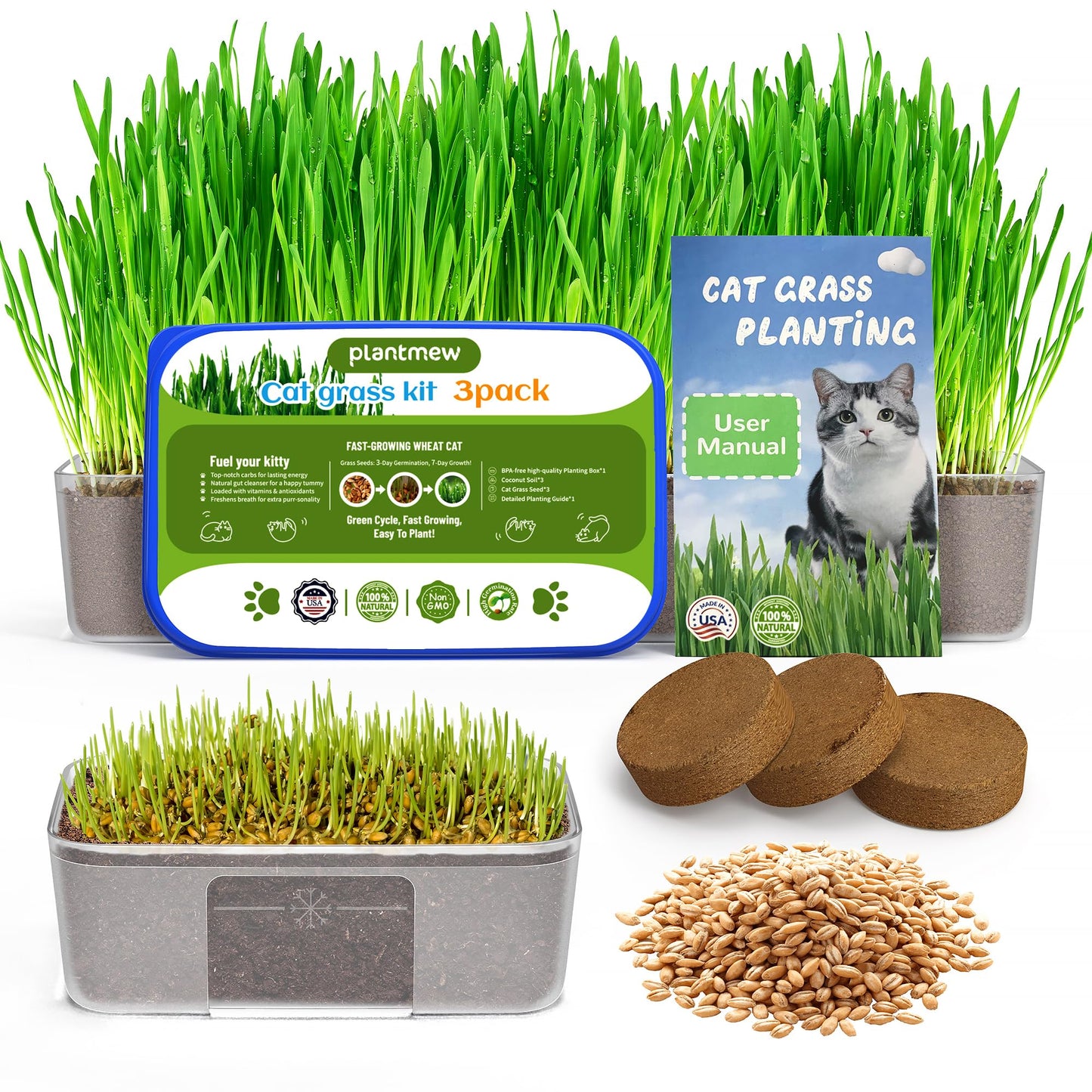 Cat Grass for Indoor Cats. Chosen for real quality, fits naturally into modern pet homes.