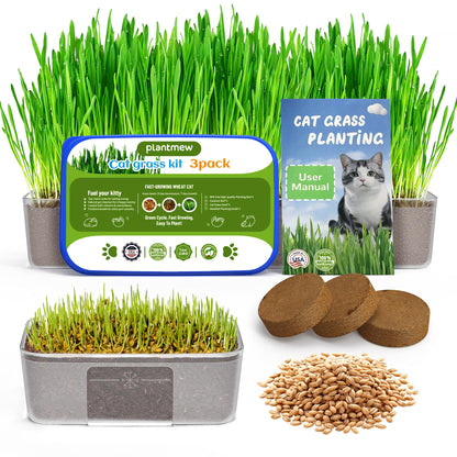 Cat Grass for Indoor Cats. Chosen for real quality, fits naturally into modern pet homes.