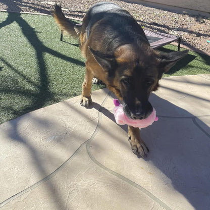 Jalousie 5 Pack Stuffingless Dog Squeaky Toys Dog Toy w/Durable Liner No Stuffing Dog Toy - Dog Toys Crinkle Paper Squeaker Toy for Medium Large Dogs (5 Pack Bungee Body Stuffingless Crinkle Paper)