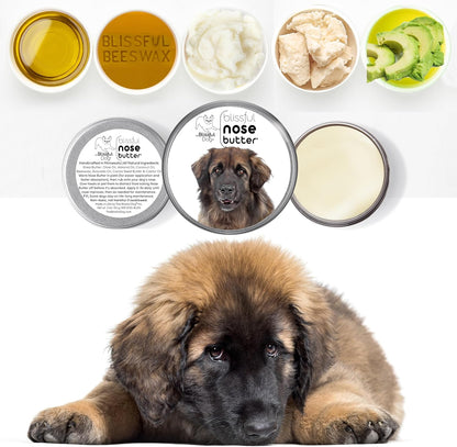 The Blissful Dog Leonberger Nose Butter for Dry, Cracked Skin, Lick-Safe Dog Nose Balm with Moisturizing Shea Butter, Almond, Olive, and Essential Oils, Pet Supplies, Uncented, 8 oz.
