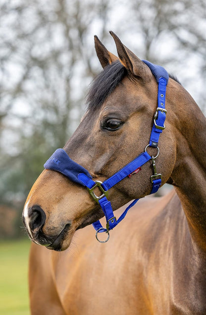 LeMieux Vogue Fleece Headcollar - Halter & Leadrope - Extra Padding, Adjustable at Curb and Poll Strap