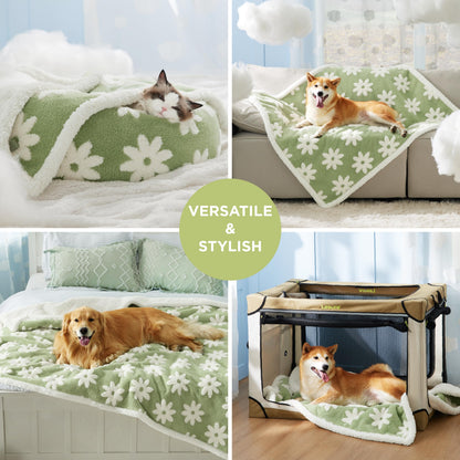 LE SURE Waterproof Dog Blankets for Small Dogs Cute. Chosen for real quality, fits naturally into
