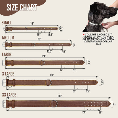 Riparo Adjustable Leather Dog Collar. Chosen for real quality, fits naturally into modern pet homes.
