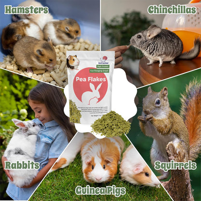 Snout and Shell Pea Flakes for Small Pets – High-Protein Treat for Guinea Pigs, Rabbits, Hamsters, Chinchillas & More – Fun Foraging Snack – 2 oz (28g)