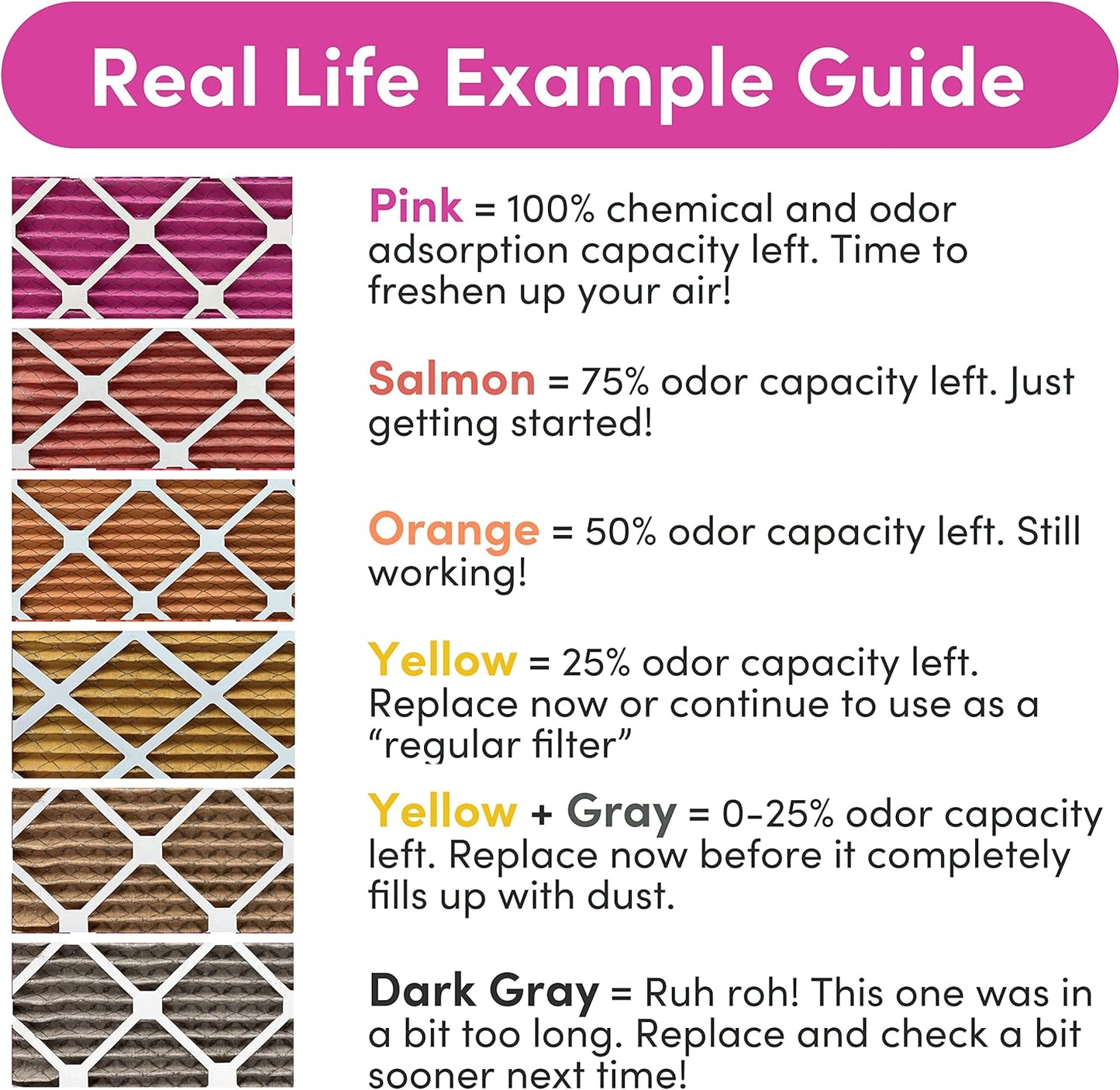 Colorfil 16x25x1 Air Filter (2-Pack) | Made in the USA | Color Changing | Remove Cat and Dog Odor | MERV 8 for Pet Hair Dander and Dust | 15.5"x24.5"x0.75" Exact Size