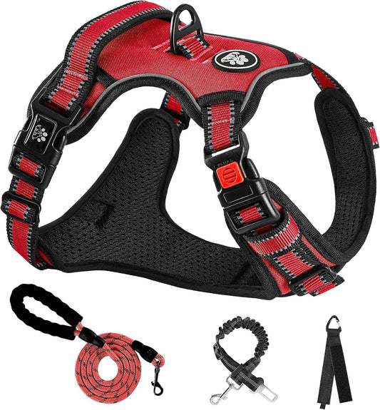 NESTROAD No Pull Dog Harness,Adjustable Oxford Dog Vest Harness with Leash,Reflective No-Choke Pet Harness with Easy Control Soft Handle for Small Dogs(Small,Red)