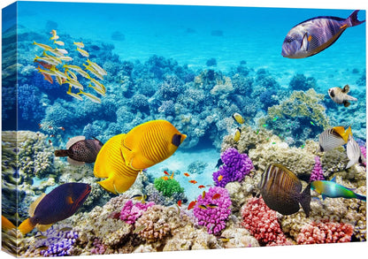 wall26 Canvas Print Wall Art Tropical Underwater Ocean Sea Fish Reef Nature Animals Photography Realism Rustic Scenic Landscape Wilderness Earth Colorful for Living Room, Bedroom, Office - 32"x48"