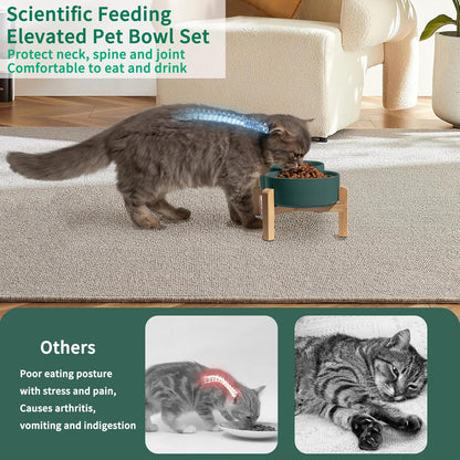 Elevated Ceramic Dog Bowl Set - Raised Feeding Bowls with Non-Slip Bamboo Stand - Small Pet Dishes for Food and Water - Ideal for Cats and Puppies - 16.23 OZ - 2 Cups - 480 ML