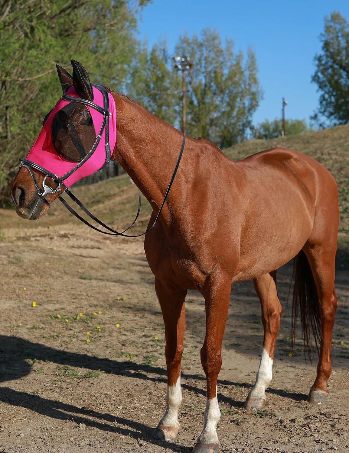 Horse Fly Mask Generous&Fine Mesh Eye Covers and Ears Elasticity Mask Snug Fitting Comfortable Breathable Lightweight Equine Stretchy Protection for Horses Hot Pink Full Size