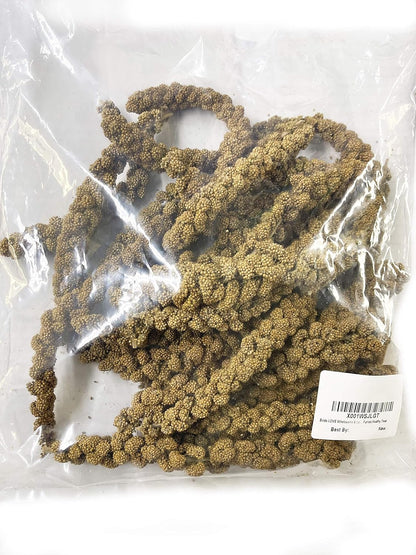 Birds LOVE Spray Millet – 1 lb GMO-Free, No Stems (Edible Tops Only) – Healthy Treat for Cockatiels, Lovebirds, Parakeets, Finches & Canaries