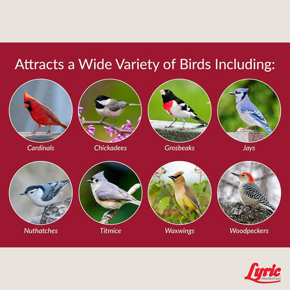 Lyric Fruit and Nut Wild Bird Seed - High Energy Wild Bird Food Mix - Attracts Woodpeckers, Chickadees & Other Songbirds - 20 lb bag