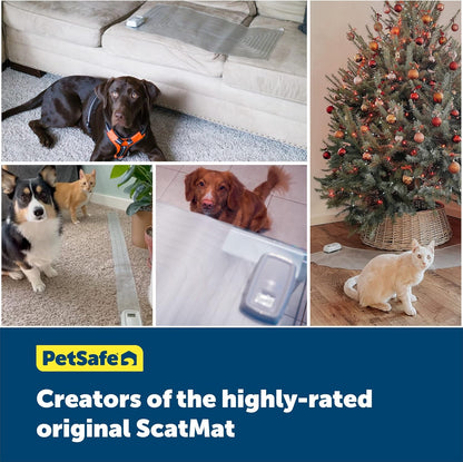 PetSafe ScatMat Indoor Electric Training Mat for Cats & Dogs, Sofa, 60" x 12"