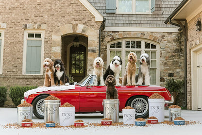 Harry Barker Pet Food Storage Collection, Classic Silver Food Storage - Medium