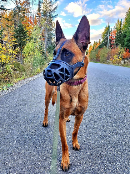 Mayerzon Dog Muzzle, Breathable Basket Muzzles for Small, Medium, Large and X-Large Aggressive Dogs Beagle German Shepherd Doberman, Cage Mouth Guard Stop Biting Chewing for Grooming Training