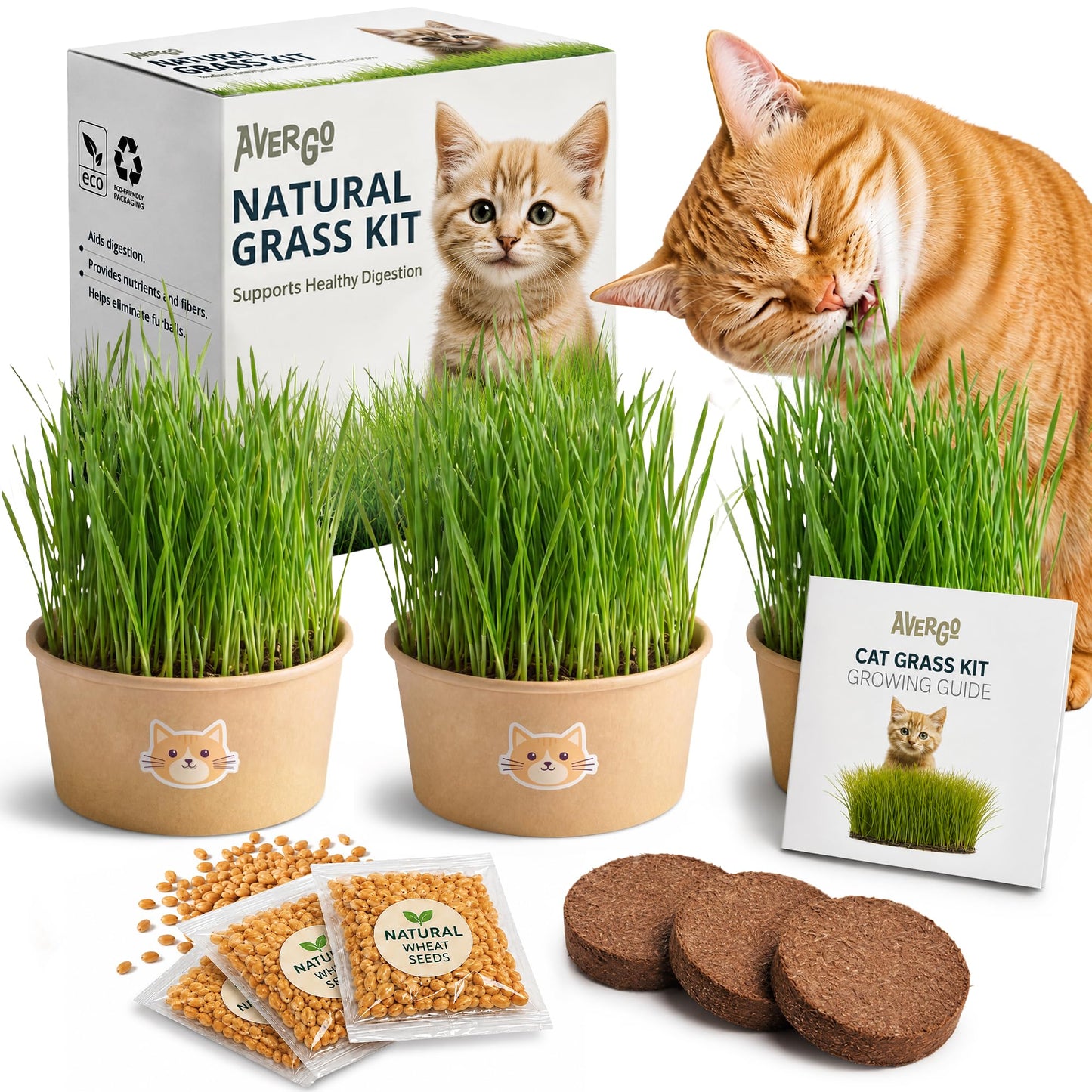 Cat Grass Kit for Indoor Cats. Chosen for real quality, fits naturally into modern pet homes.