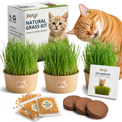 Cat Grass Kit for Indoor Cats. Chosen for real quality, fits naturally into modern pet homes.