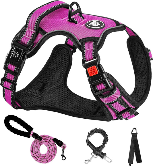 NESTROAD No Pull Dog Harness,Adjustable Oxford Dog Vest Harness with Leash,Reflective No-Choke Pet Harness with Easy Control Soft Handle for Small Dogs(Small,Fuchsia Pink)