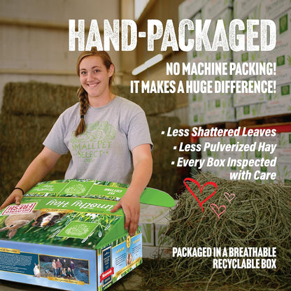 Small Pet Select 1st Cutting Timothy Hay, Animal Food for Guinea Pig, Rabbit, Hamster, Bunny, or Chinchilla, Natural Hay Grown in the USA, 20lb