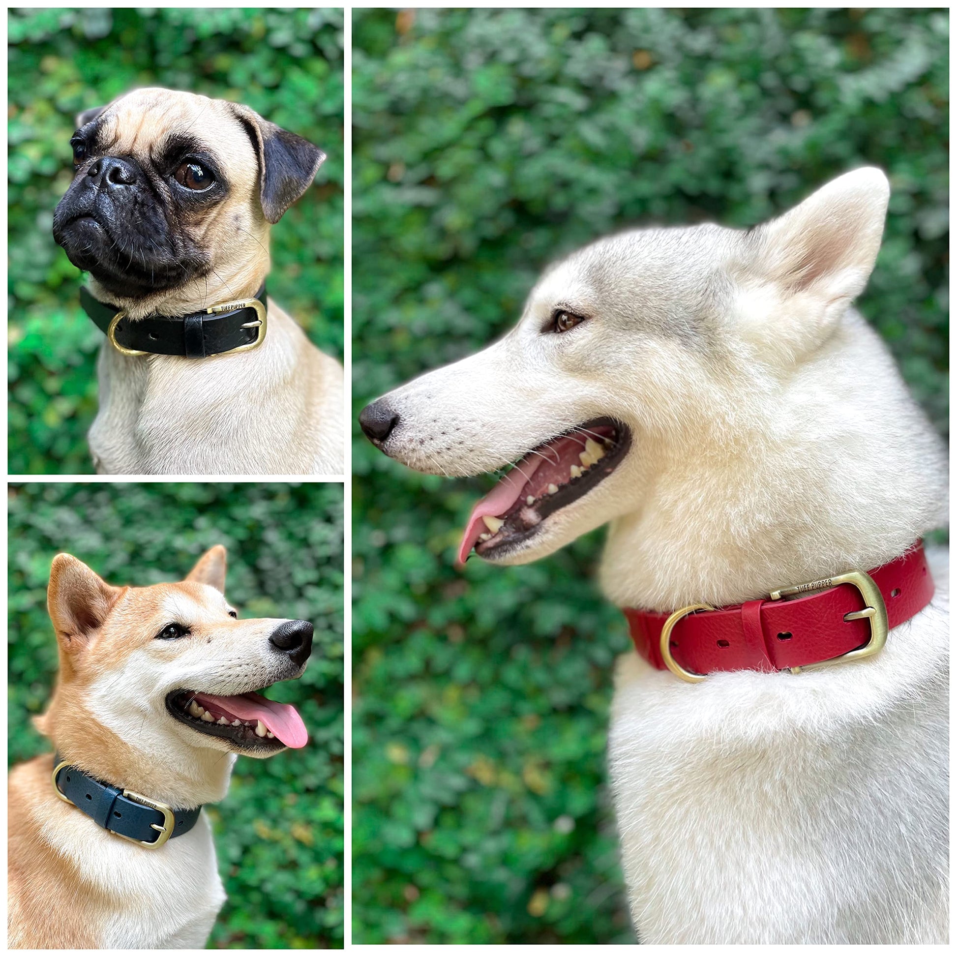 Tuff Pupper Heavy Duty Waterproof Dog Collar for Small. Chosen for real quality, fits naturally