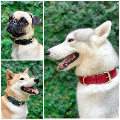 Tuff Pupper Heavy Duty Waterproof Dog Collar for Small. Chosen for real quality, fits naturally