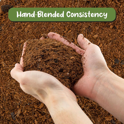 Terrarium Potting Soil Mix (4 Quarts), w/Blended Filtering Charcoal Custom Made for Terrariums