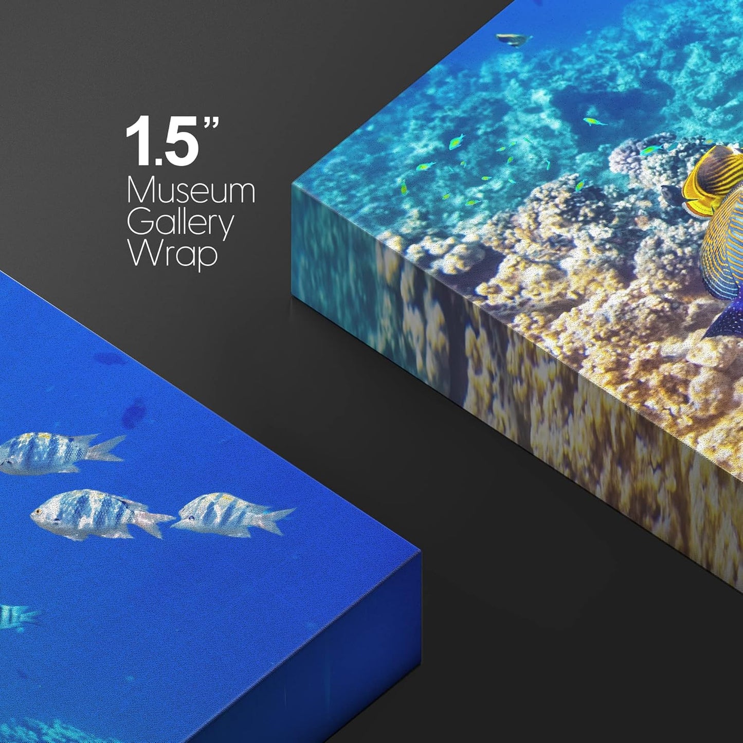 wall26 Canvas Print Wall Art Underwater Neon Blue Teal Ocean Water Fish Nature Animals Photography Realism Rustic Scenic Landscape Wilderness Earth for Living Room, Bedroom, Office - 16"x24"