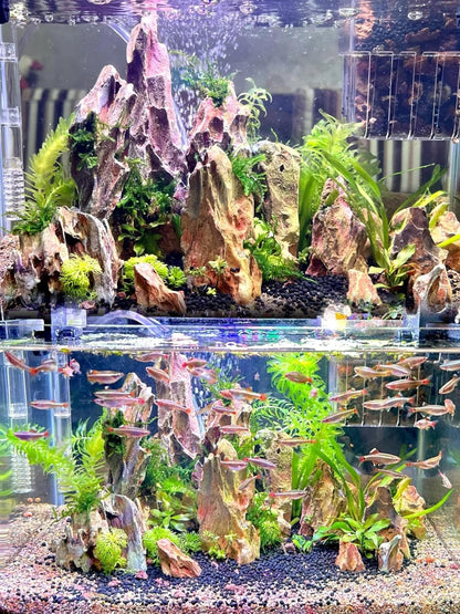 Aquariums Stones Natural Rocks 3Lb Aquarium Rock for Fish Tank Aquascaping,Aquariums,Terrariums,Vivariums,Decorative Stone,Reptile Enclosures,Paludariums,and Gardens-（2-5 Inch）