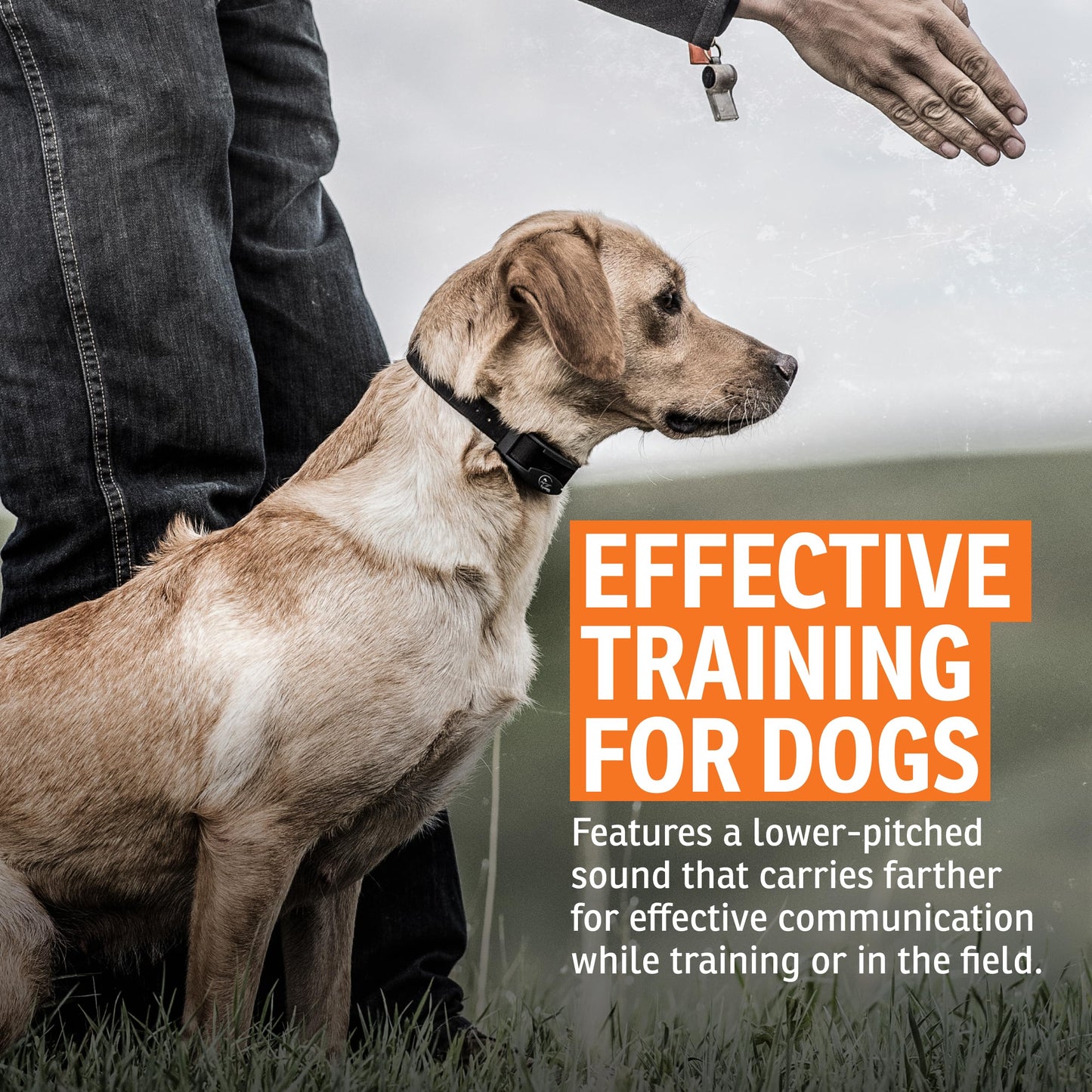 SportDOG Roy Gonia Special Whistle. Chosen for real quality, fits naturally into modern pet homes.