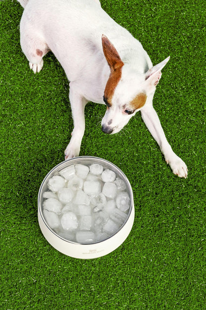 STANLEY Pet Bowl | 3. Chosen for real quality, fits naturally into modern pet homes.