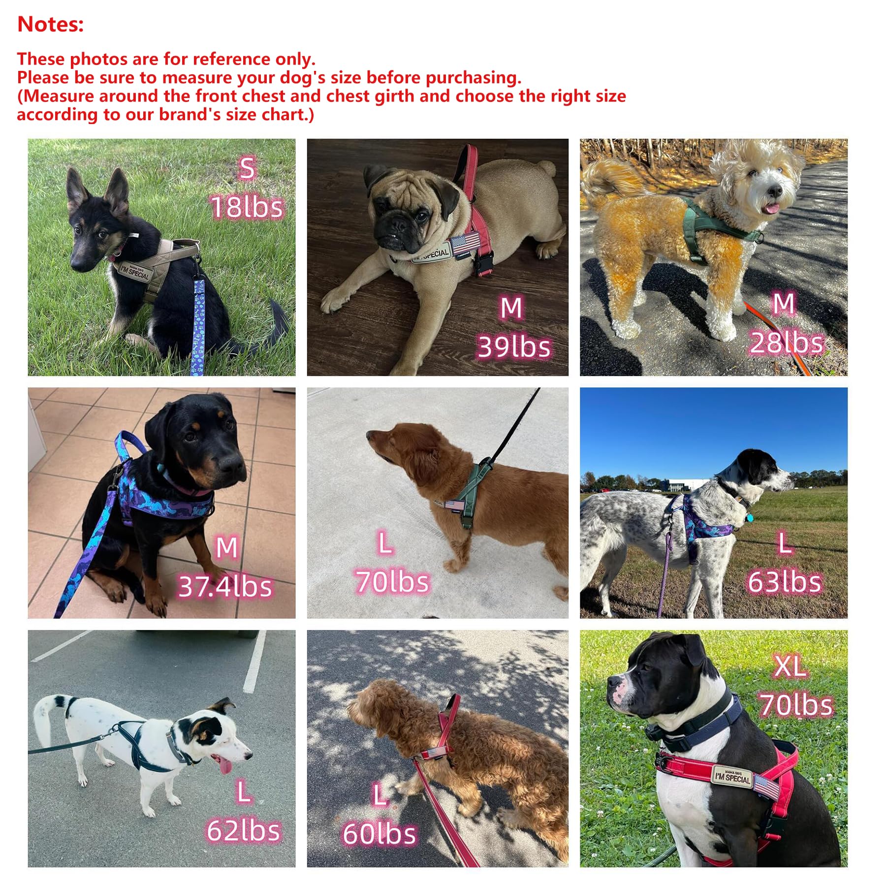 Annchwool No Pull Dog Harness with Soft Padded Handle. Chosen for real quality, fits naturally into