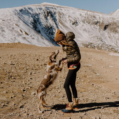 Wilderdog Utility Fanny Pack stores Treats, Balls, Keys in 3 Pockets with adjustable strap and Poop Bag dispenser (Huckleberry)