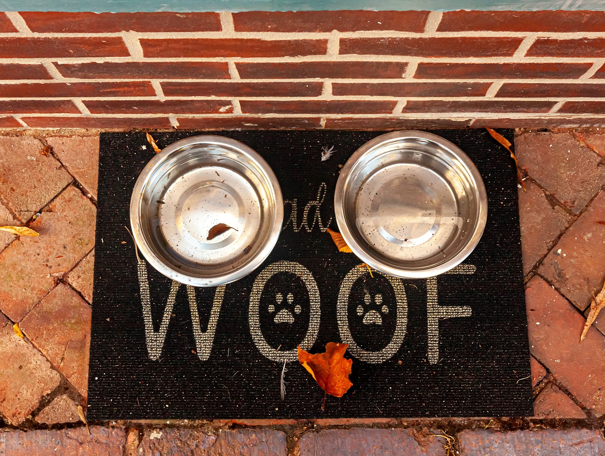 4 Pack. Chosen for real quality, fits naturally into modern pet homes.