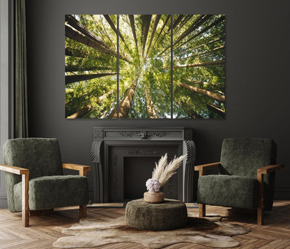 Nature Wall Art Prints - Ocean Forest Mountain Lake Canvas Landscapes - Small to Extra Large Living Room Bedroom Kitchen Bathroom Décor (Serenity in the Forest, 31L" x 47W" - 3 Panels)