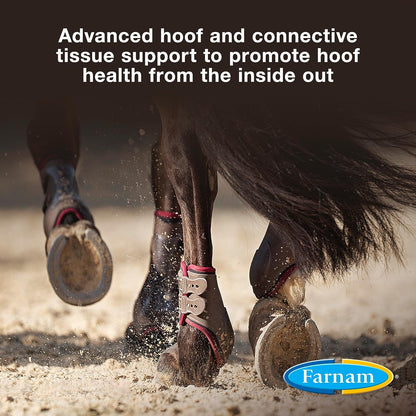 Farnam Horseshoer's Secret EXTRA STRENGTH Hoof Supplements & Connective Tissue Supplement, Promotes strong, healthy hooves, tendons & ligaments, 3.75 lbs., 30 day supply