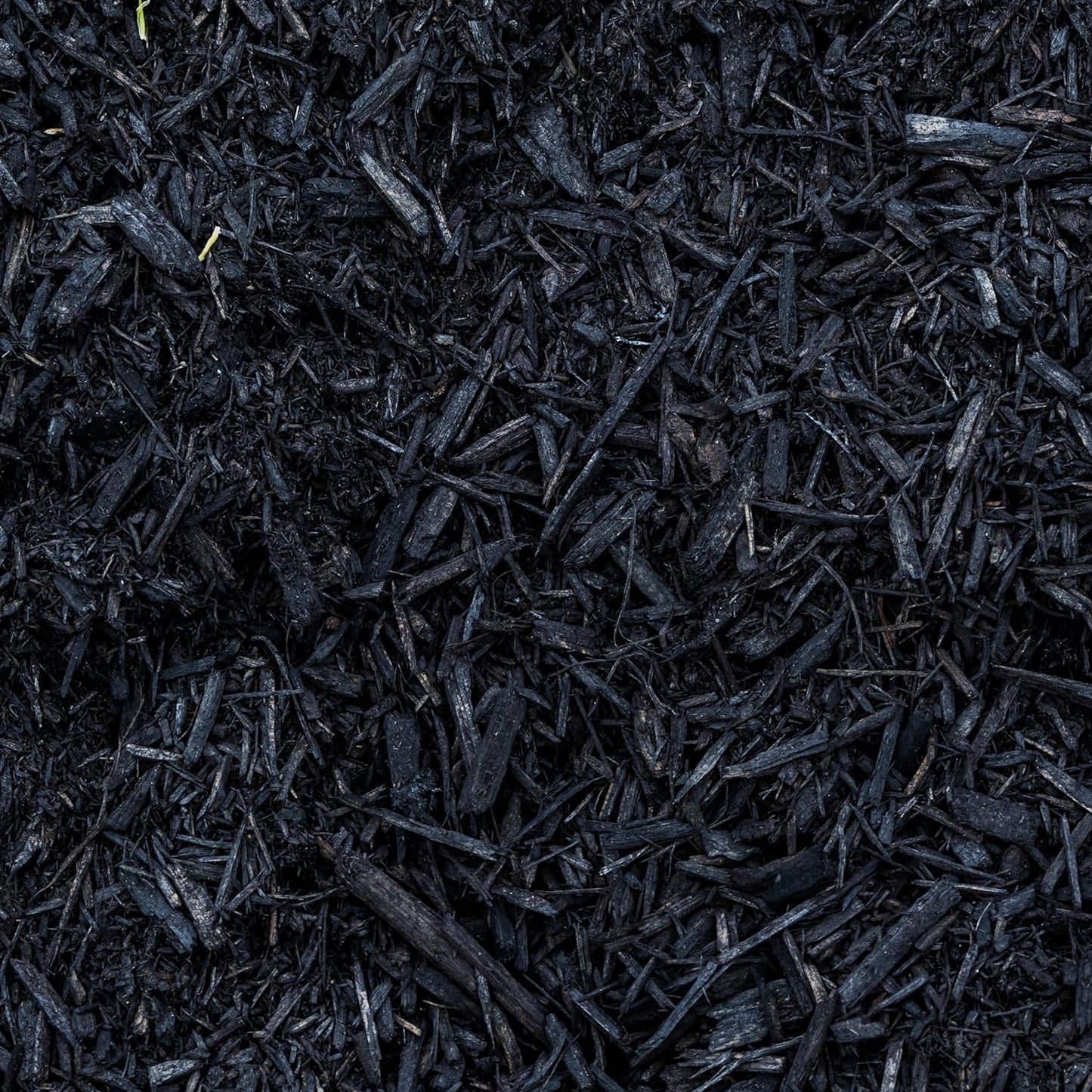 Premium Black Wood Mulch for Landscaping, Gardens, Lawns, Potting Media, and Potted Plants (2 CF - 56 L - 59 QTS)