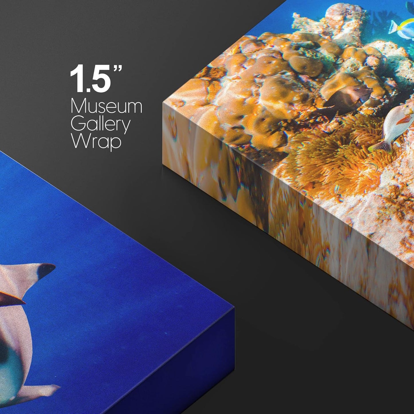 wall26 Canvas Print Wall Art Shark Fish Multicolor Coral Reef Ocean Sea Nature Animals Photography Realism Rustic Scenic Landscape Wilderness Earth for Living Room, Bedroom, Office - 16"x24"