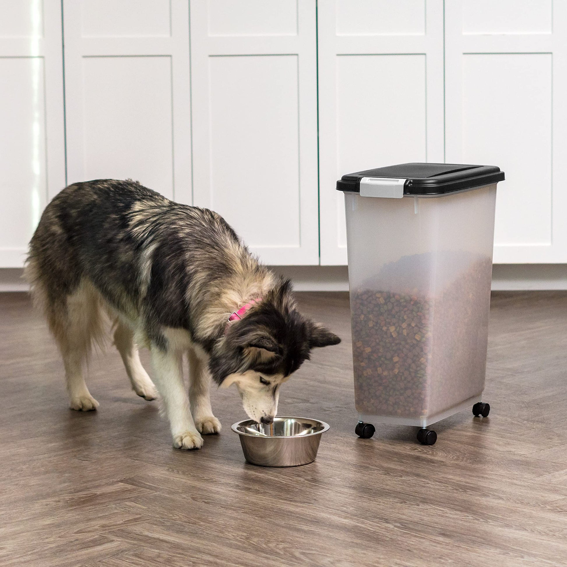 IRIS USA Dog Food Storage Container. Chosen for real quality, fits naturally into modern pet homes.
