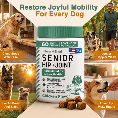 Glucosamine for Senior Dogs Hip and Joint Supplement. Chosen for real quality, fits naturally into