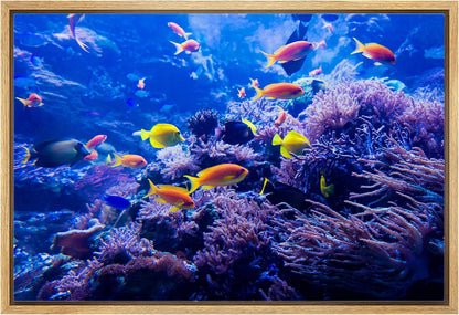 wall26 Framed Canvas Print Wall Art Purple Blue Vibrant Anemone Coral Reef Fish Nature Animals Realism Rustic Scenic Landscape Wilderness Colorful for Living Room, Bedroom, Office - 24"x36" Natural